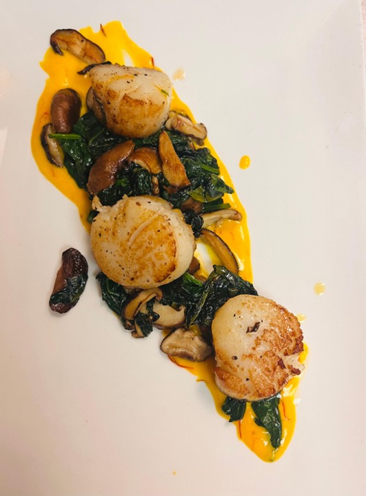 Sea Scallops