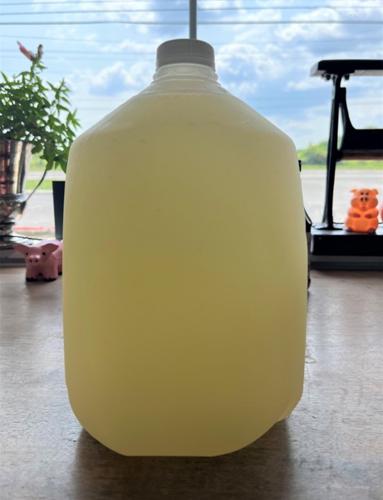 Gallon Lemonade