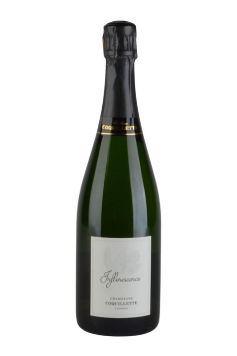 BTL Stephane Coquillette Brut