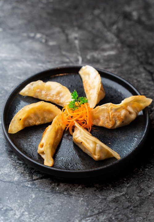 pan fried gyoza