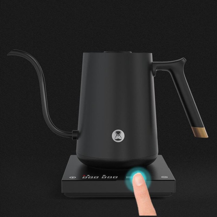 Fish Smart Electric Kettle 800