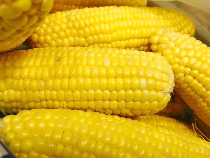 Corn on the cob (SM)