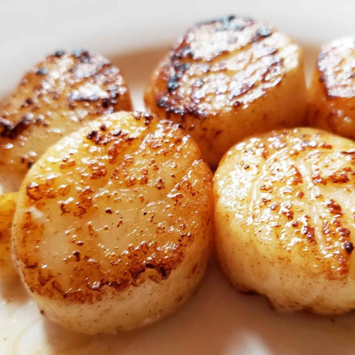 Scallops