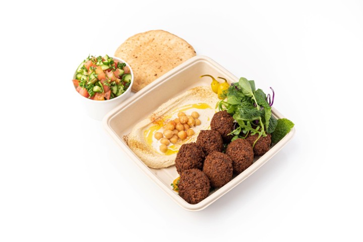 Plate Falafel