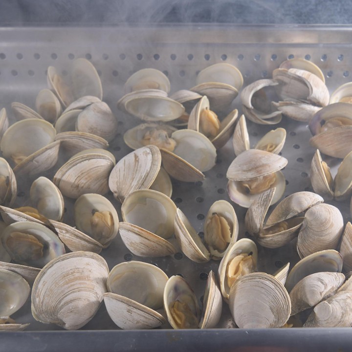 50 Ct Little Neck Clams