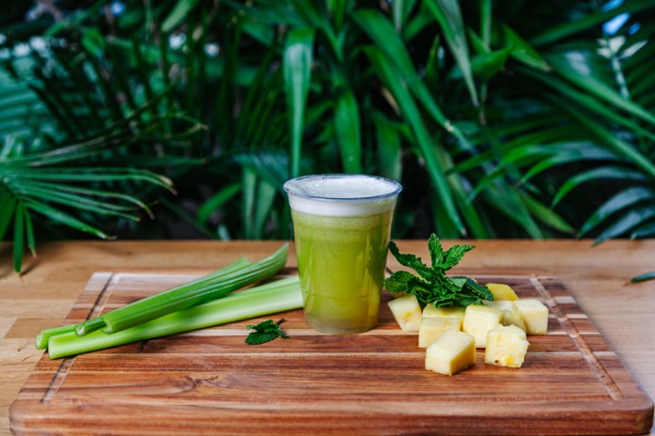 PLAIN CELERY JUICE