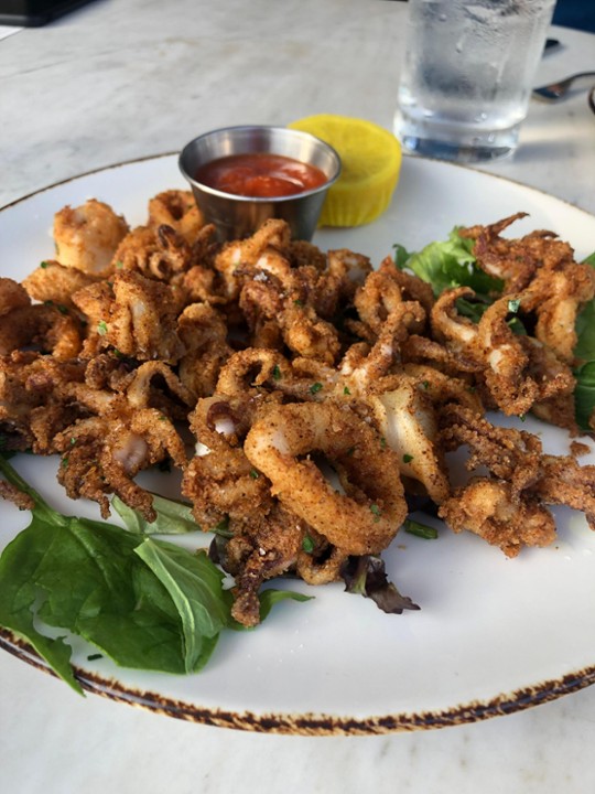 Fried Calamari