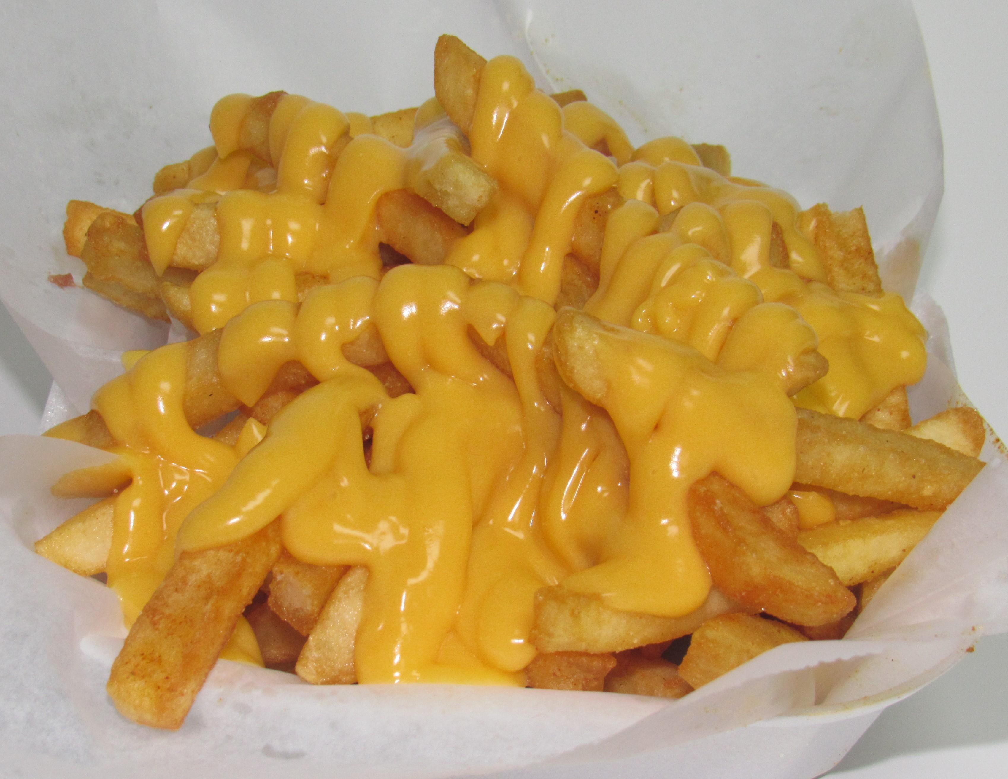 CHEESE FRIES