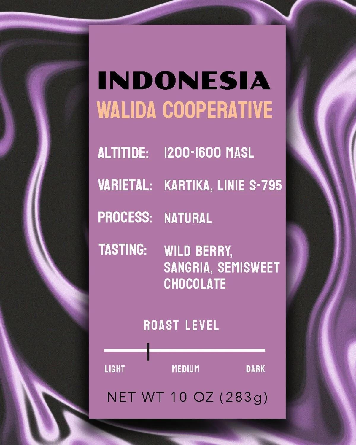 Indonesia Walida Natural V60