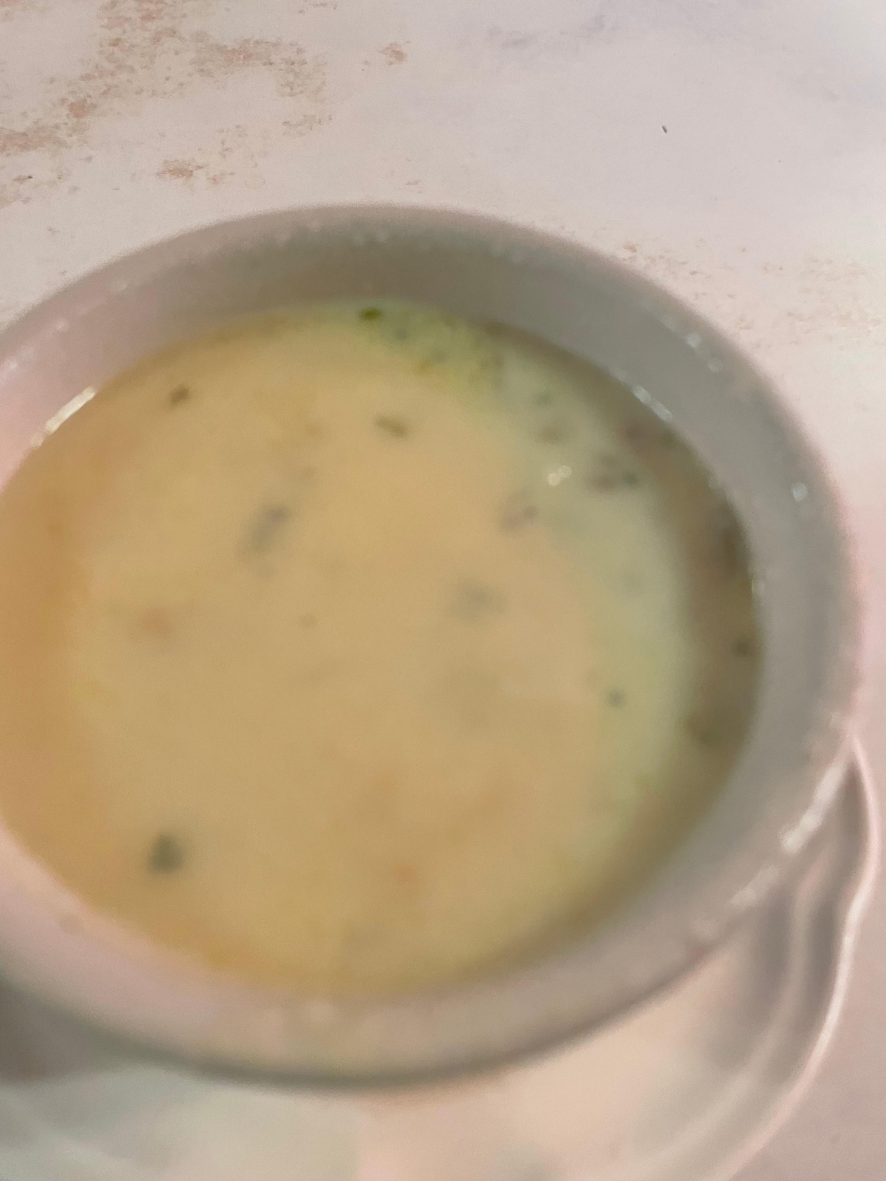 cup of New England clam chowder