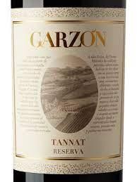 Bodega Garzon Single Vineyard Tannat