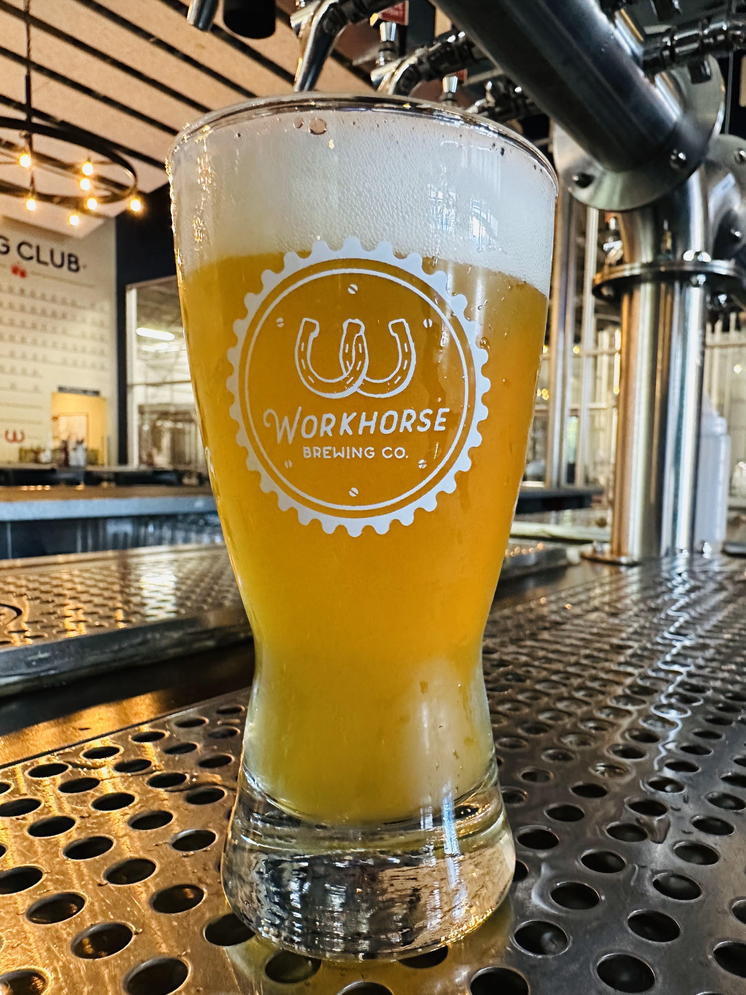 New England IPA - 8oz