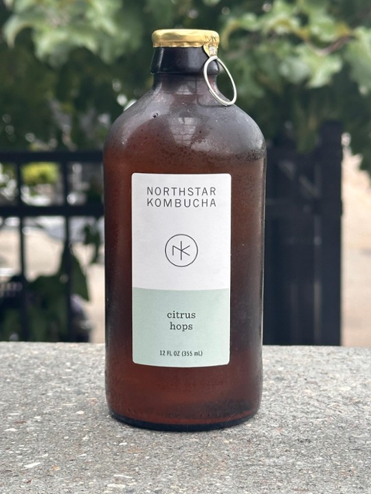 North Star- Citrus Hops Kombucha