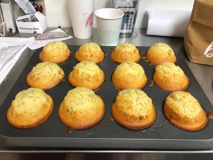 Lemon Poppy Muffin