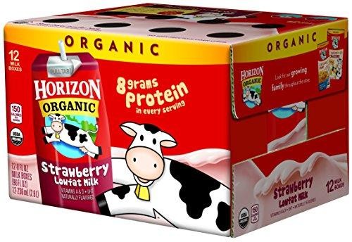 Horizon Organic Chocolate Milk