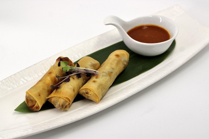 Bulgogi Spring Rolls