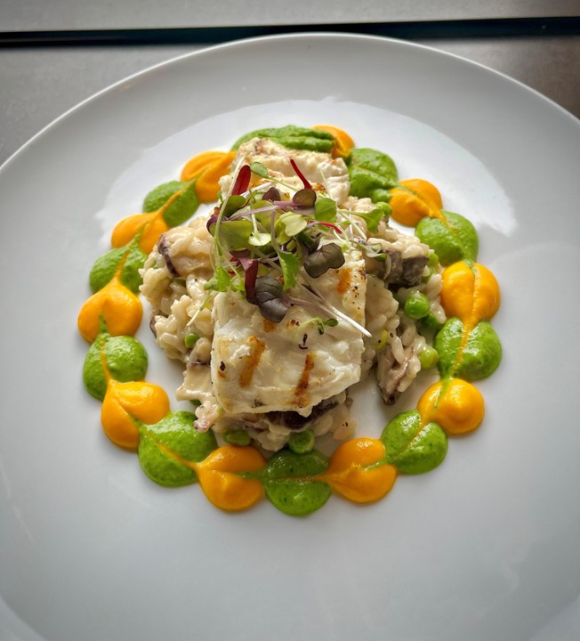 Halibut