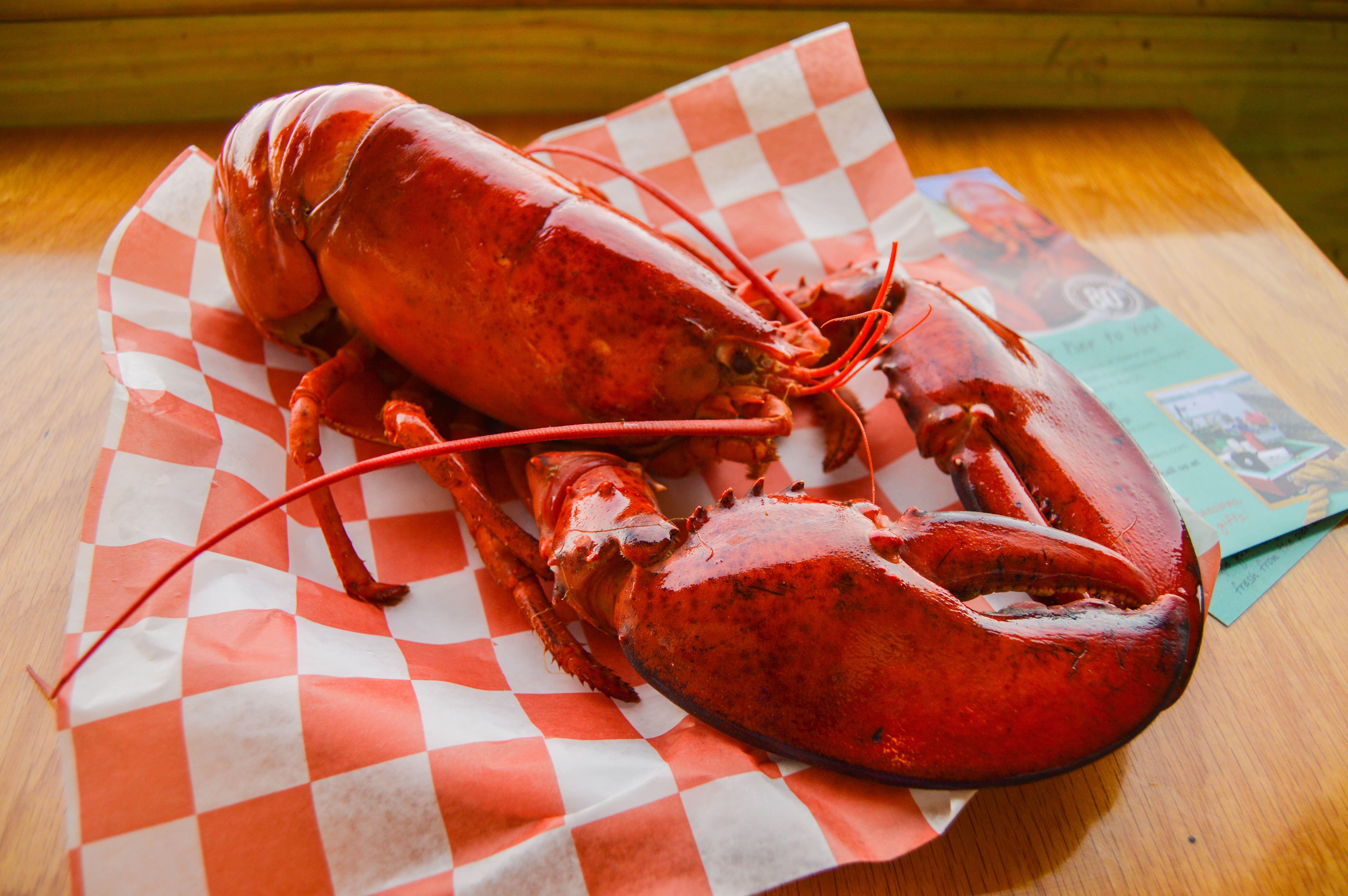Boiled Lobster by the Pound