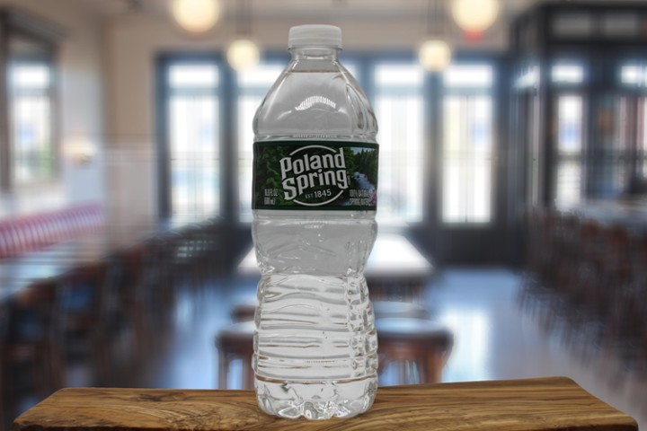 Poland Spring Water 16.9oz