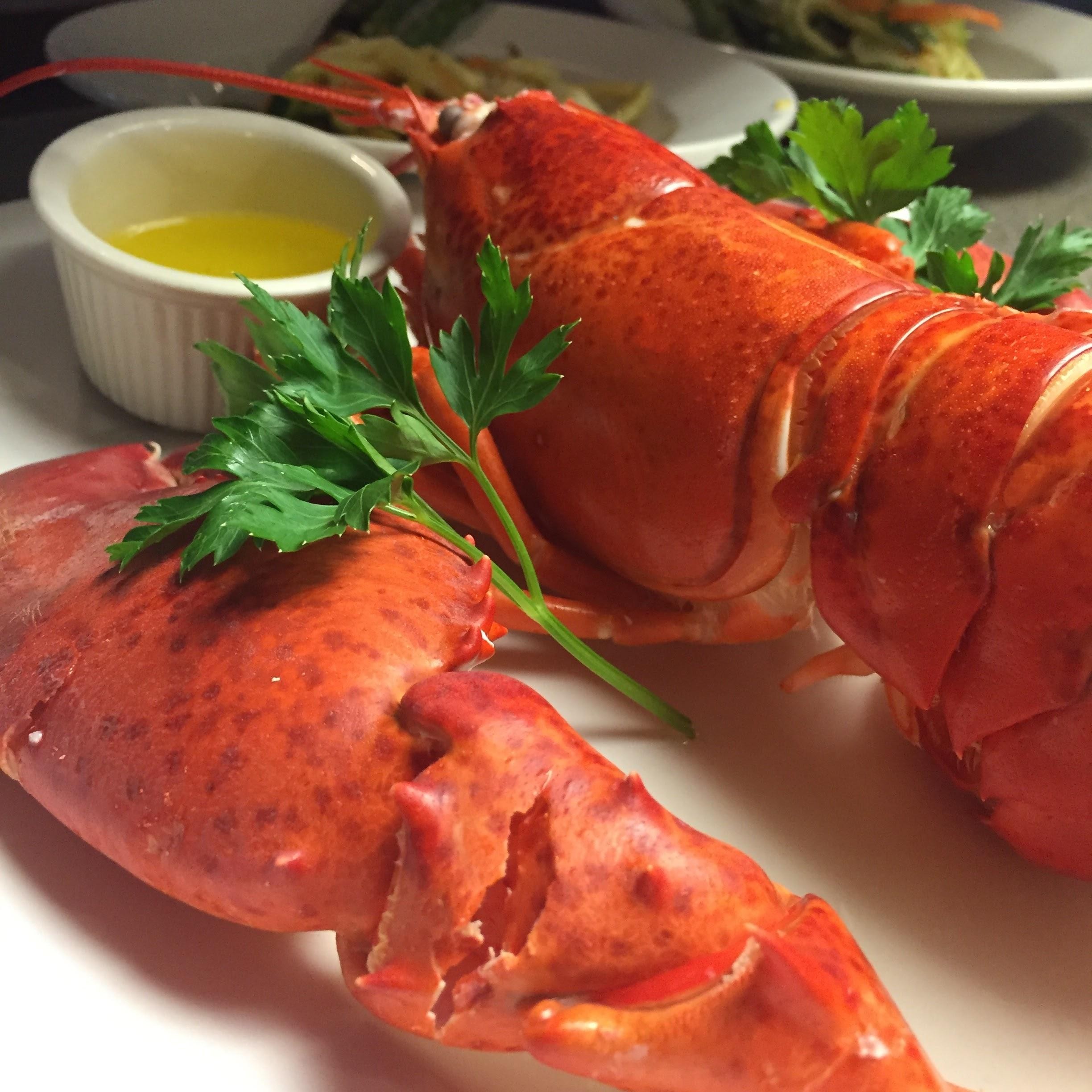 Lobster, Maine (1 1/2 lb size average)