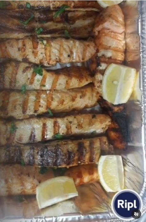 Grilled Salmon Half Tray
