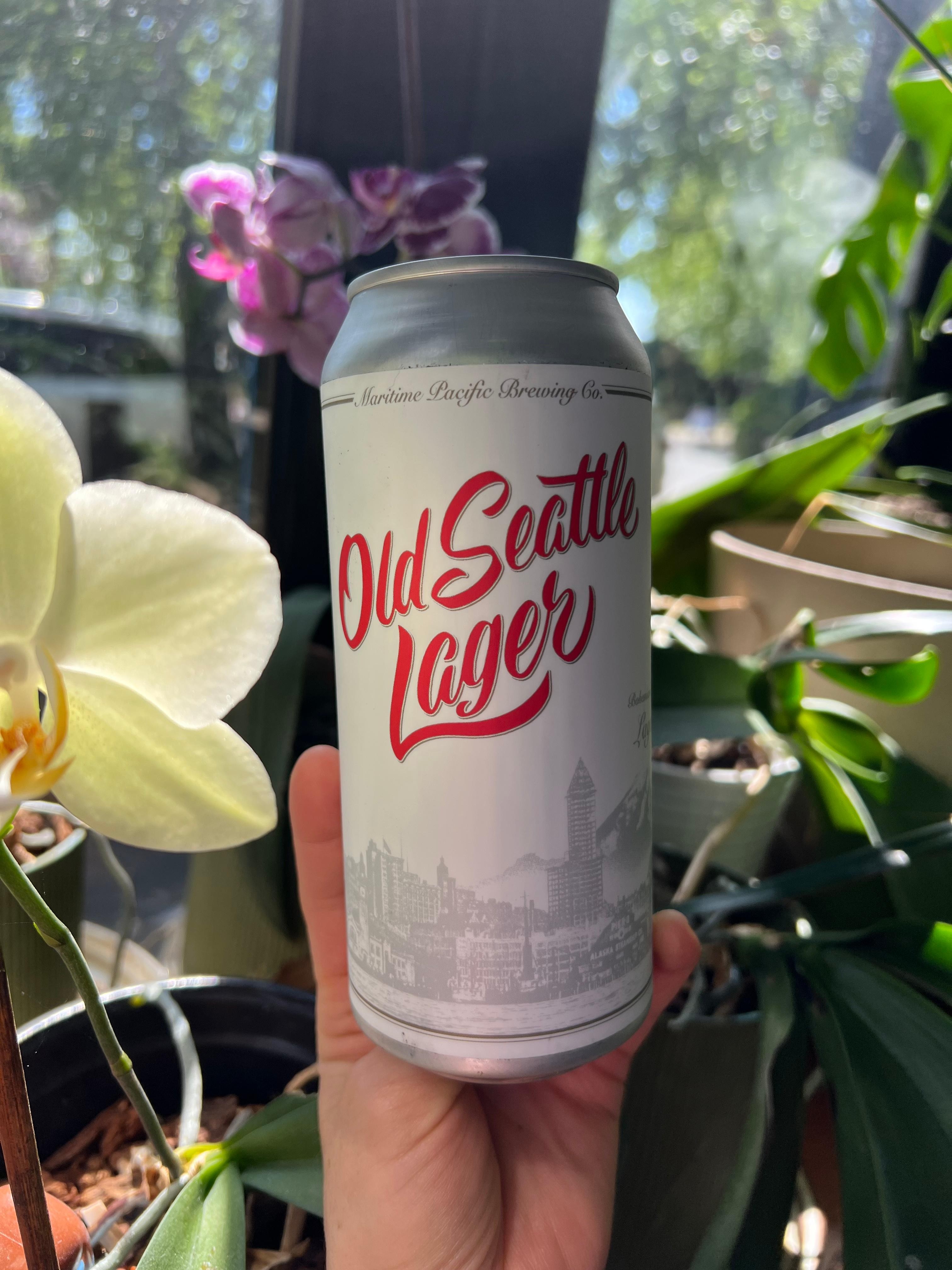 Old Seattle Lager 16oz tall boi