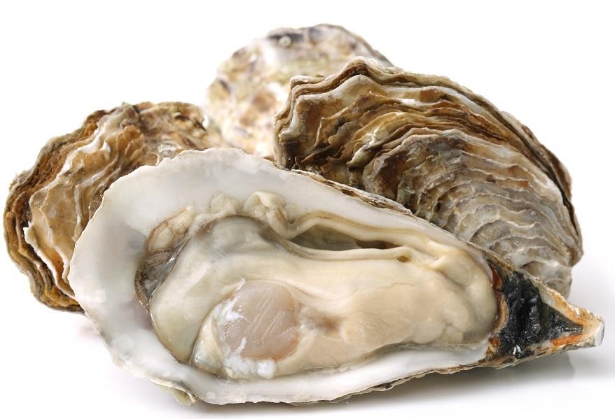 Oysters (10) Wellfleet, MA