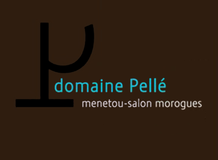 Domaine Pellé Menetou-Salon Morogues Blanc