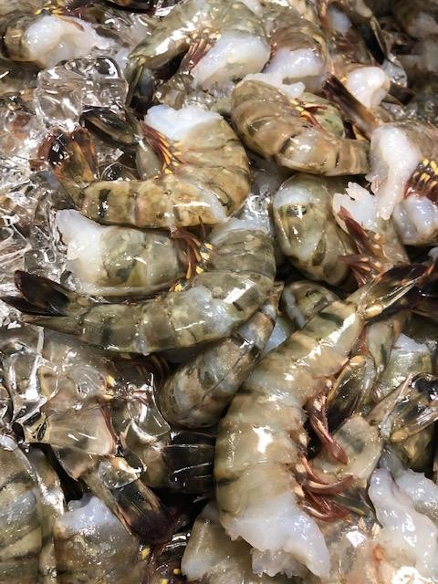 13/15 Frozen Box Shrimp 4LB