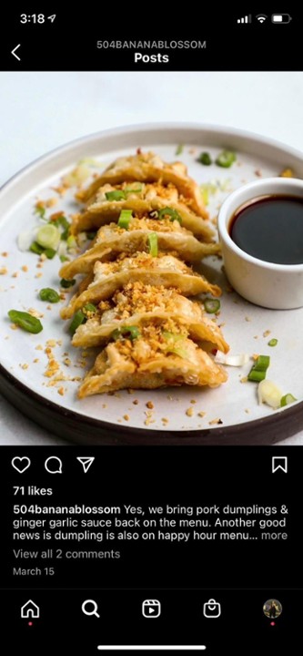 Pork Dumplings