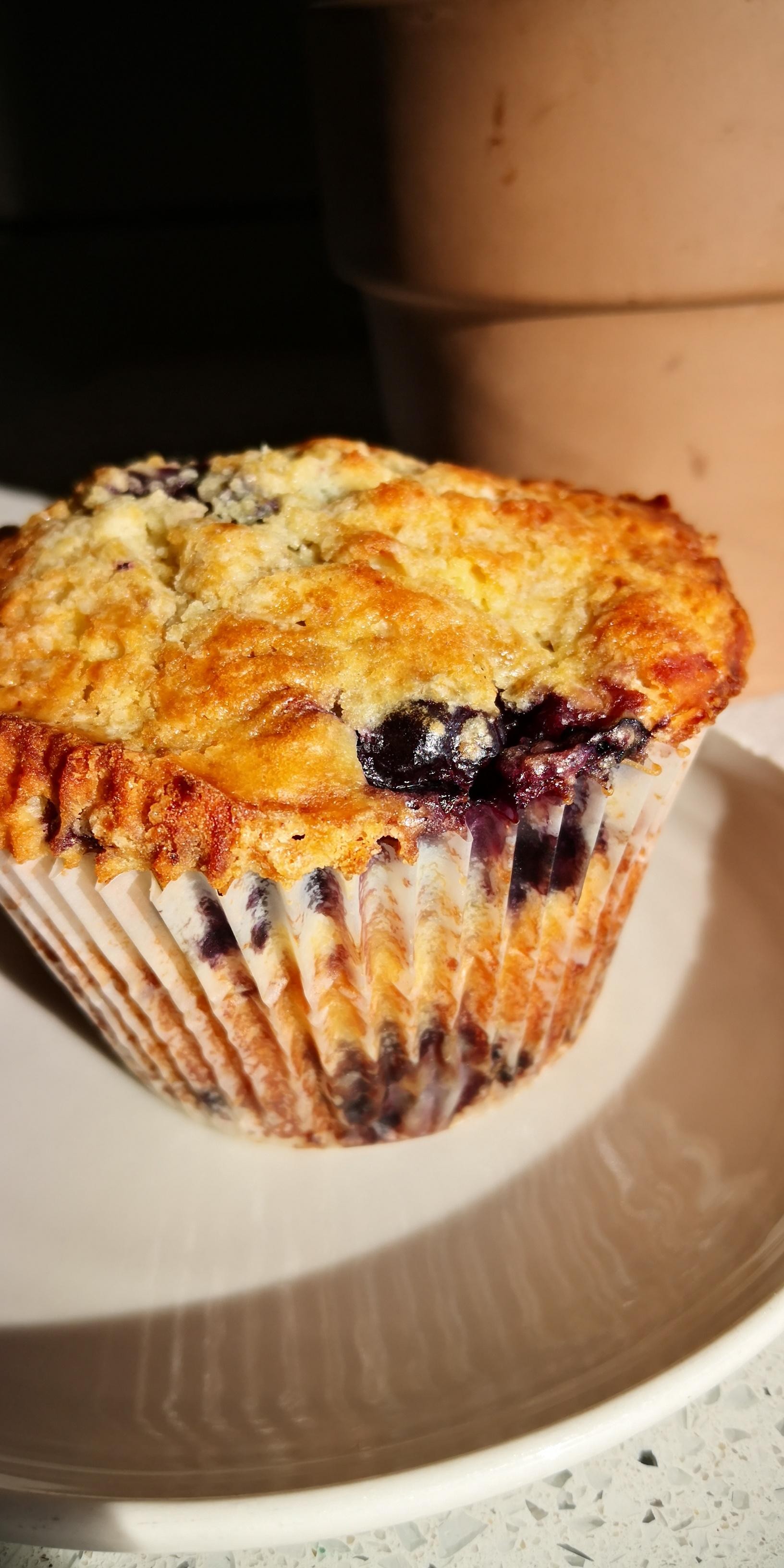 Bluberry Muffin