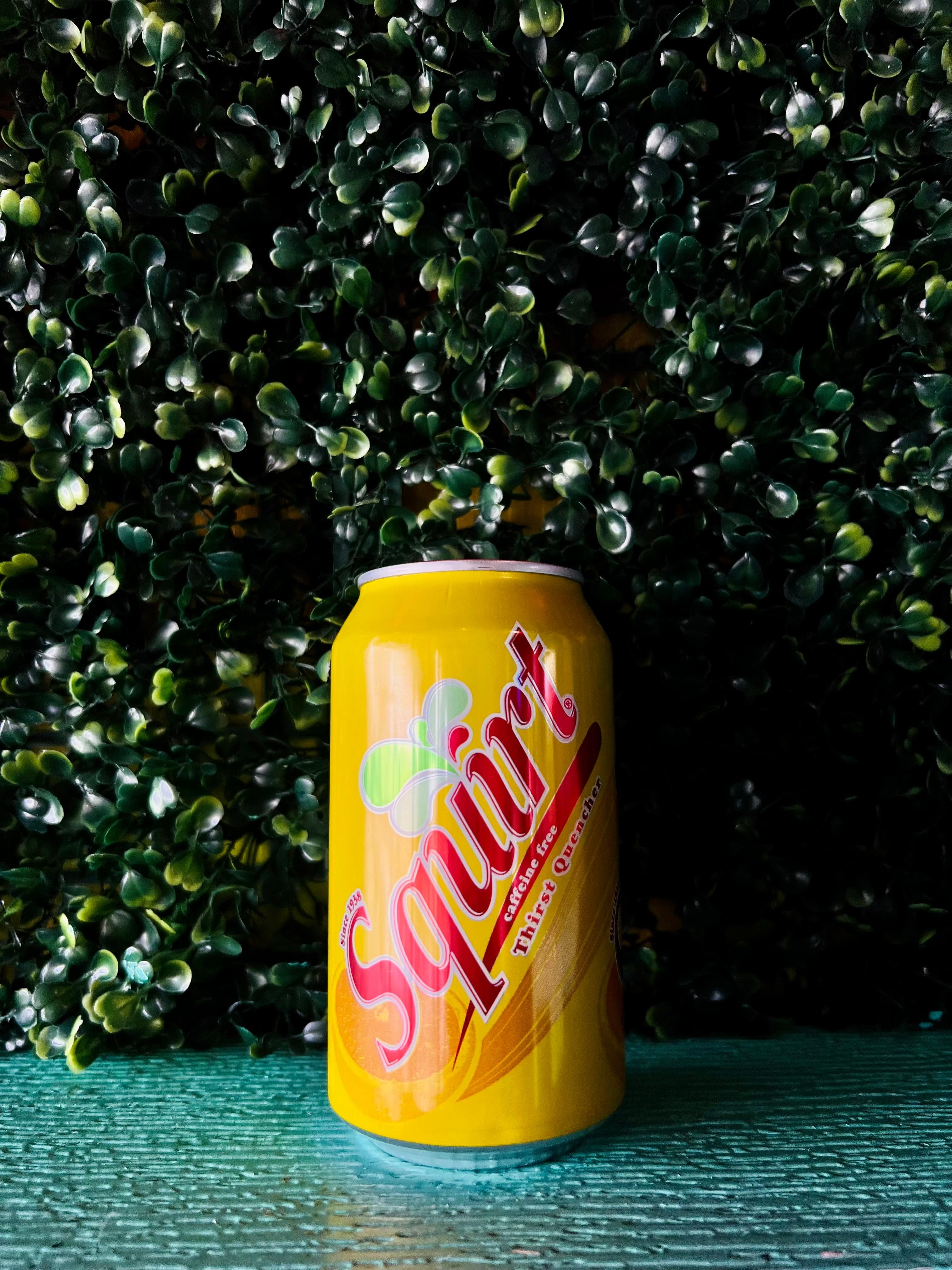Squirt (12oz Can)