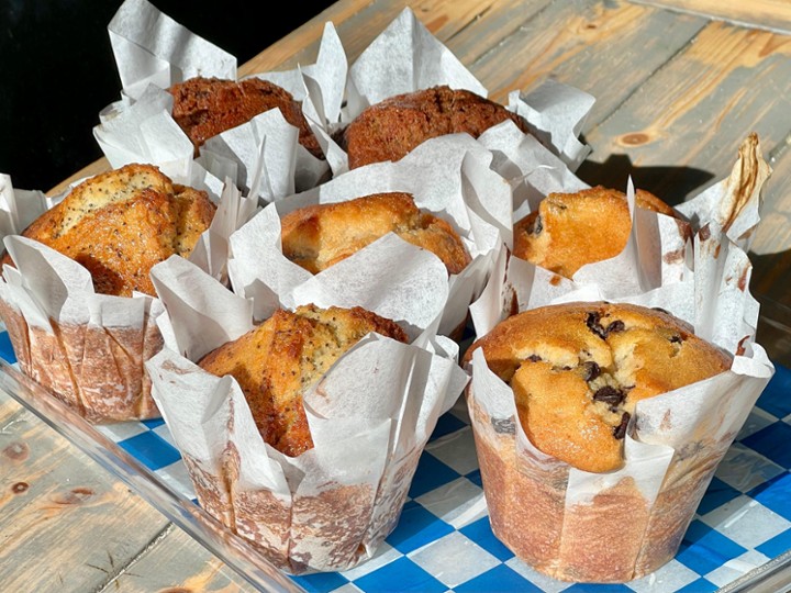 Lemon Poppy Seed Muffin