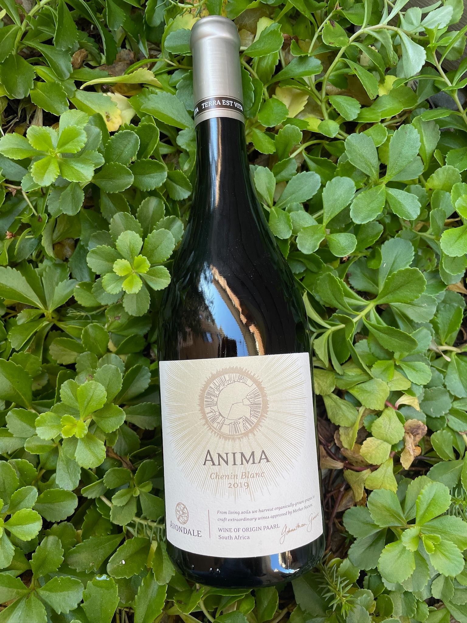 Avondale 'Anima' Chenin Blanc 2018