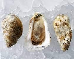 Beaver Tail