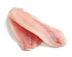 Tilapia