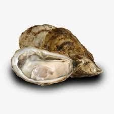 Sex on the Bay