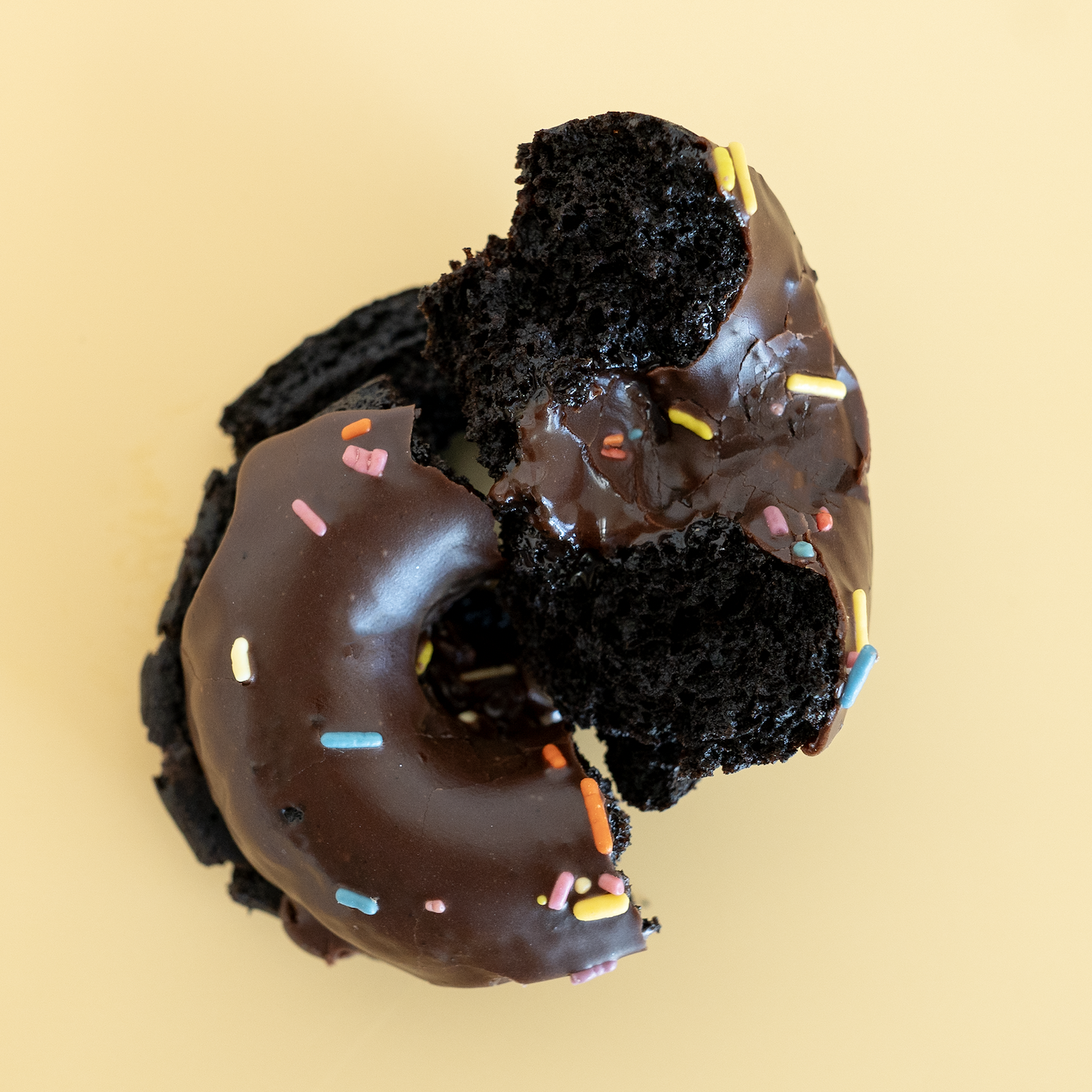 Vegan Double Chocolate Donut