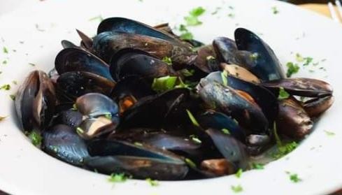 Mussels