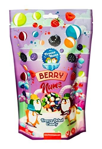Freeze Nums Candy - Berry