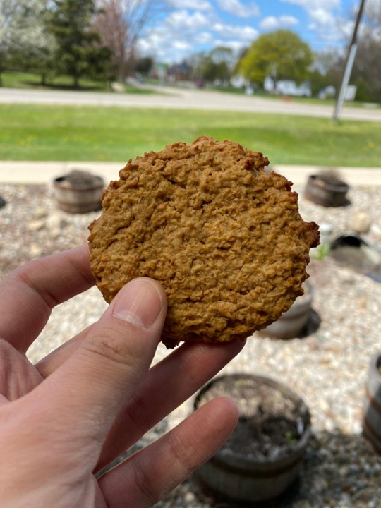 Peanut Butter Apple Oat Dog Treats