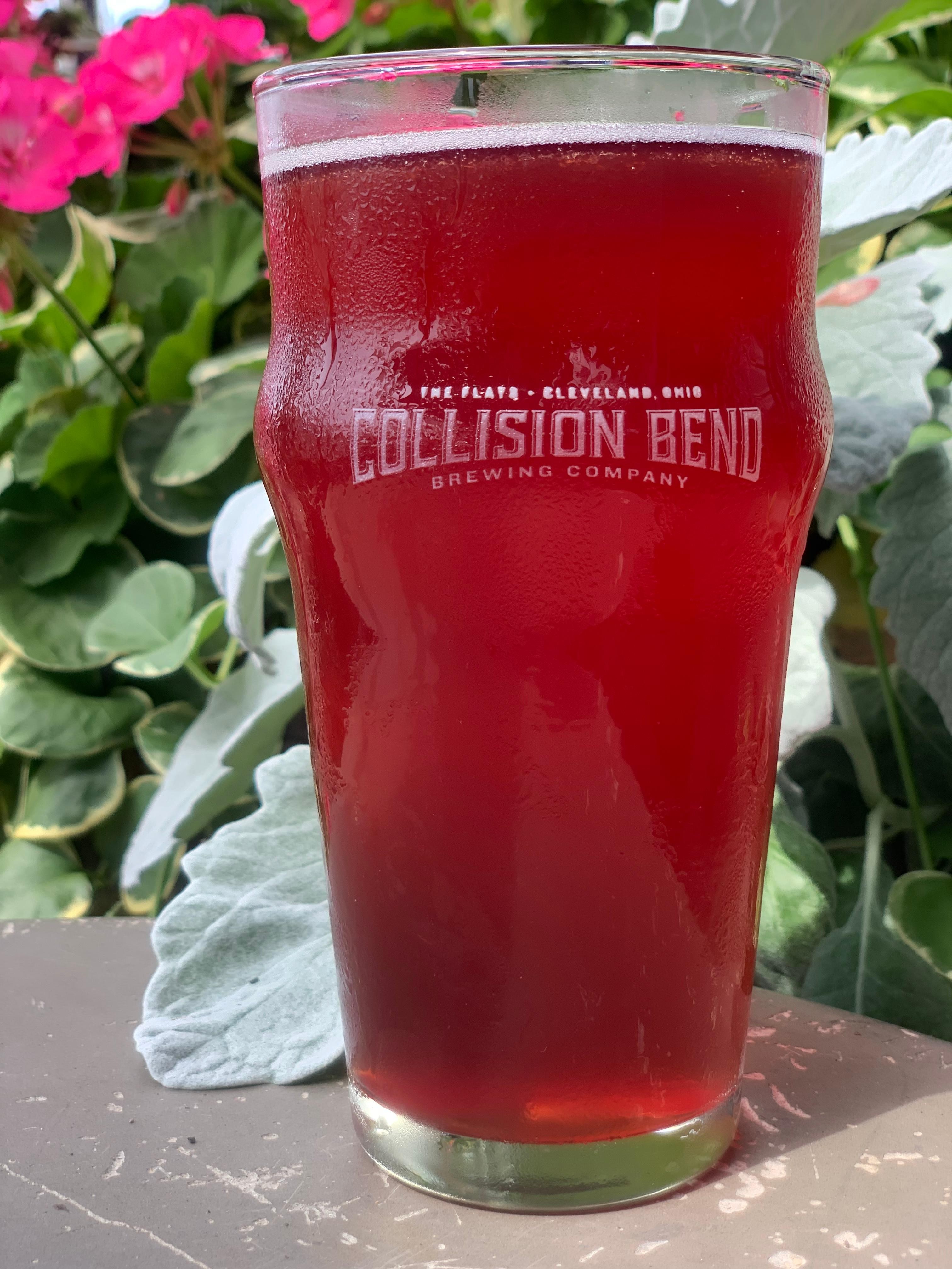 14- Redhead Blackberry Shandy