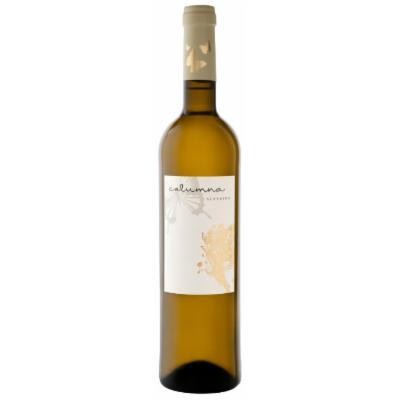 Columna Albarino 2021 White Wine - Spain