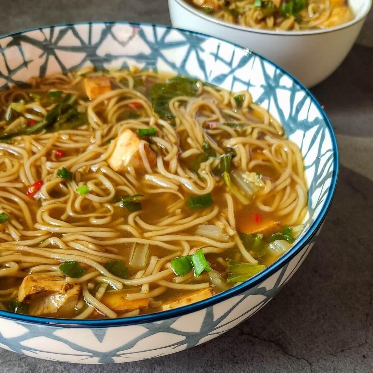 Paneer (Home-made Cheese) Noodle Soup