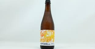 Hopewell - Fun Facts (500ml)