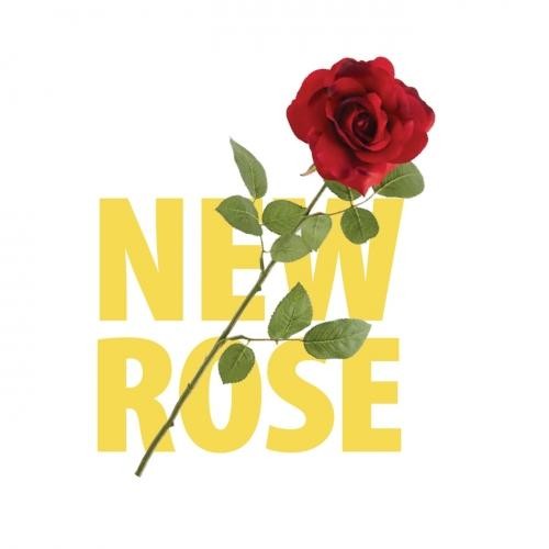 Hidden Hand - New Rose (16oz)