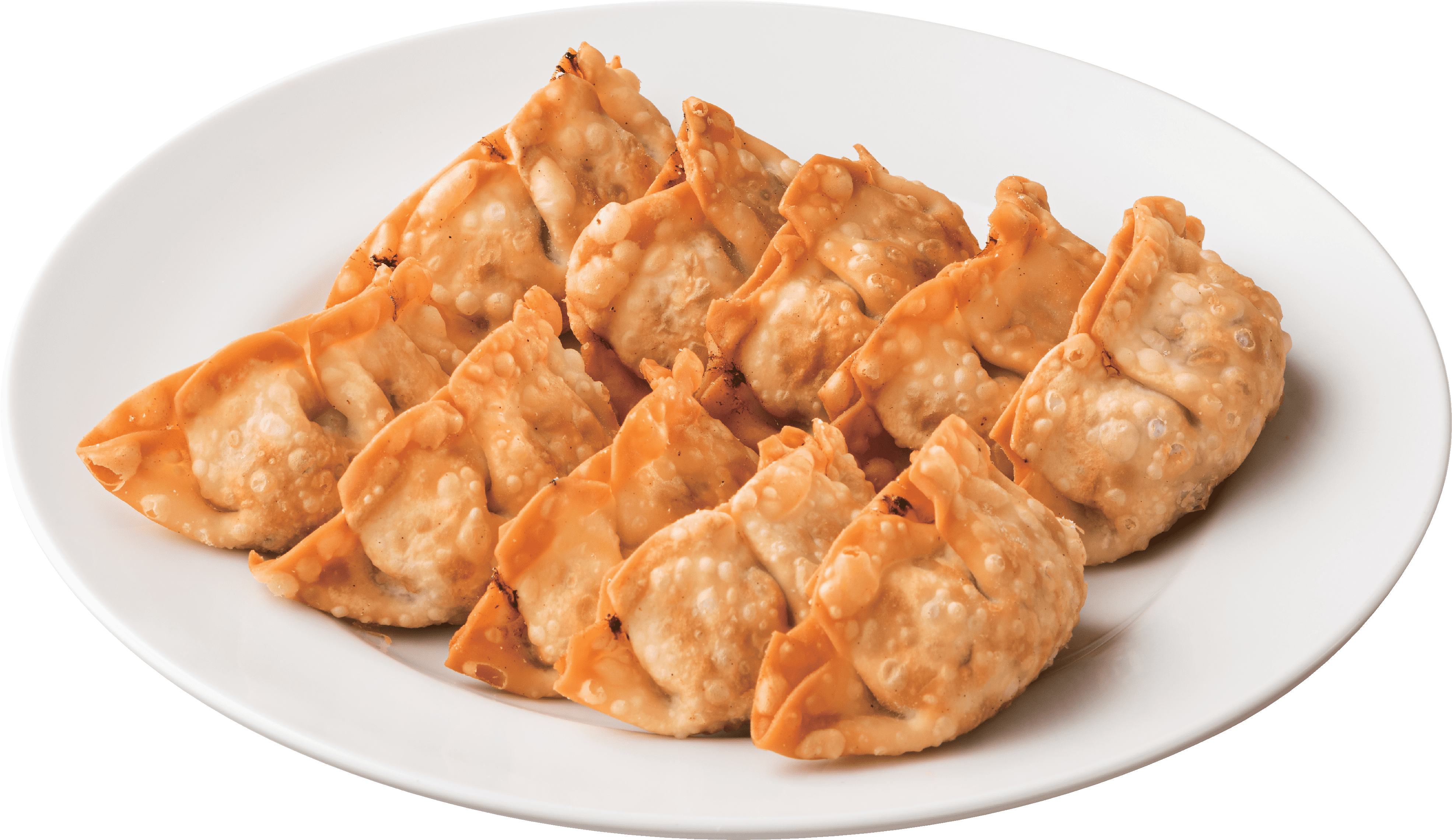 10 piece Age Gyoza (Fried Gyoza)