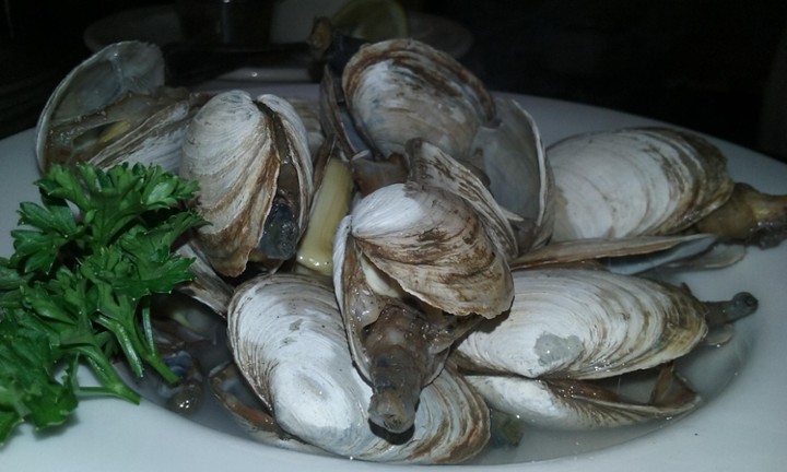 Bowl of Maine Steamers