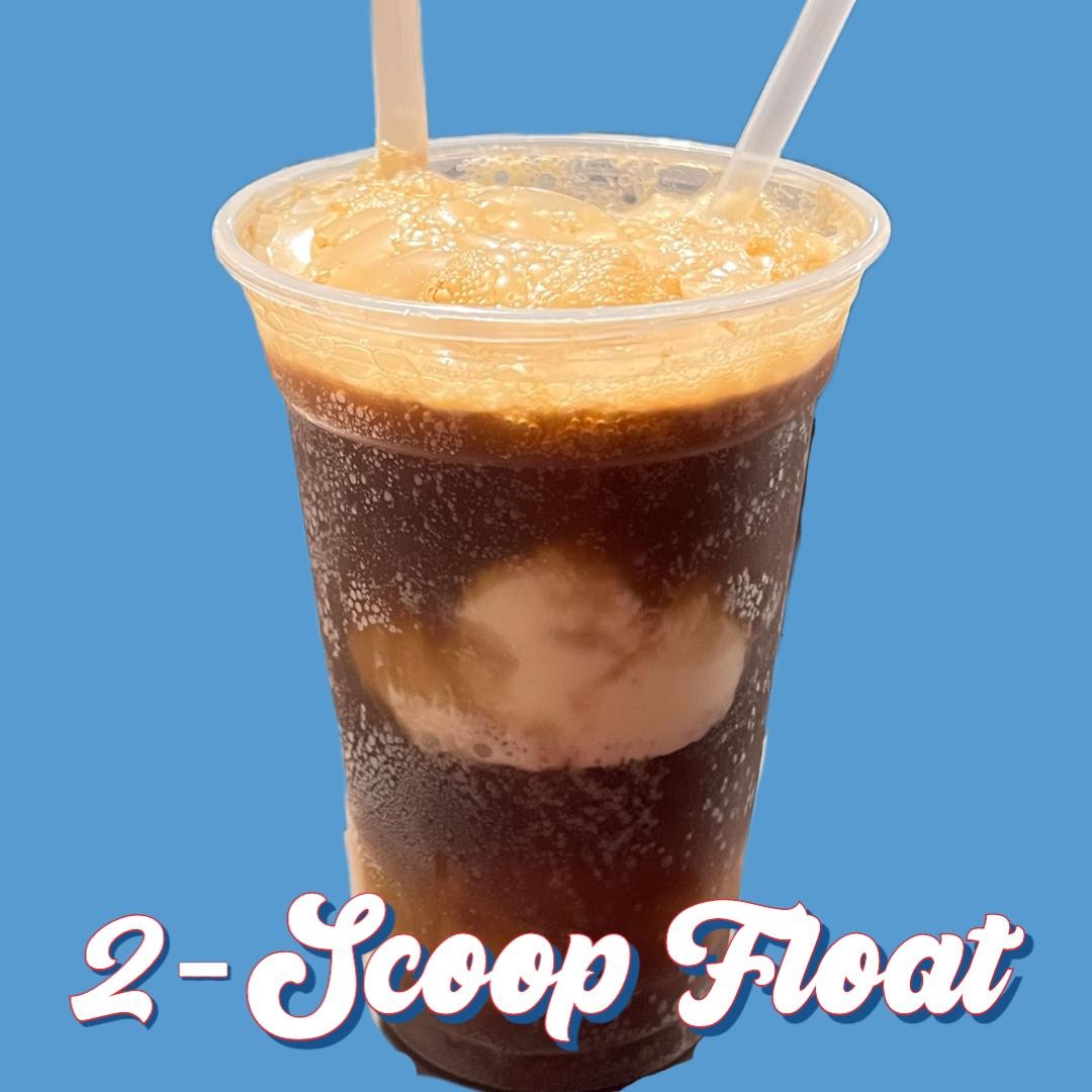 2 Scoop Float