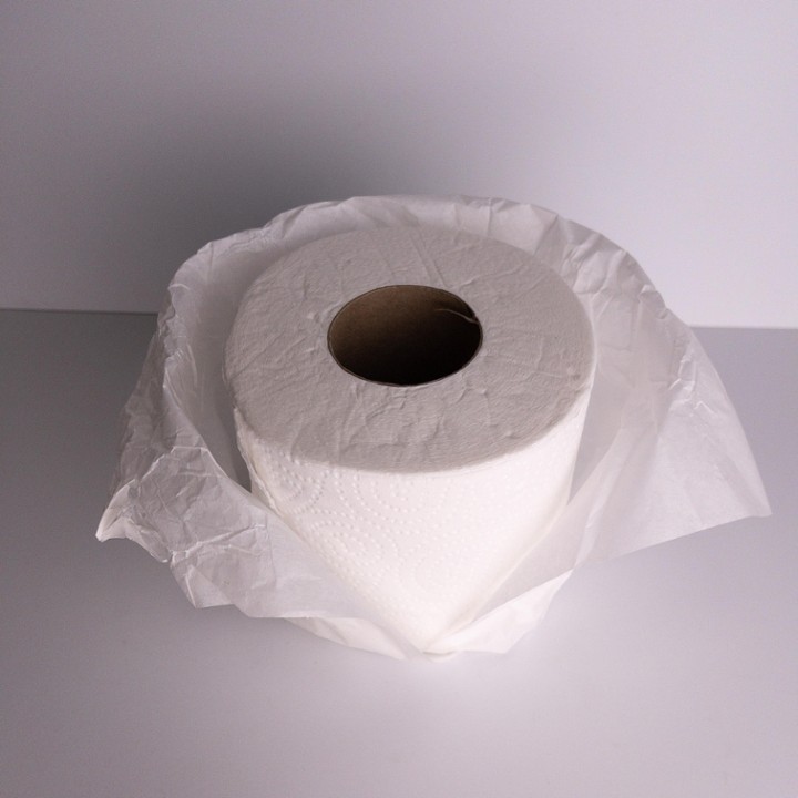 TOILET PAPER 1PC